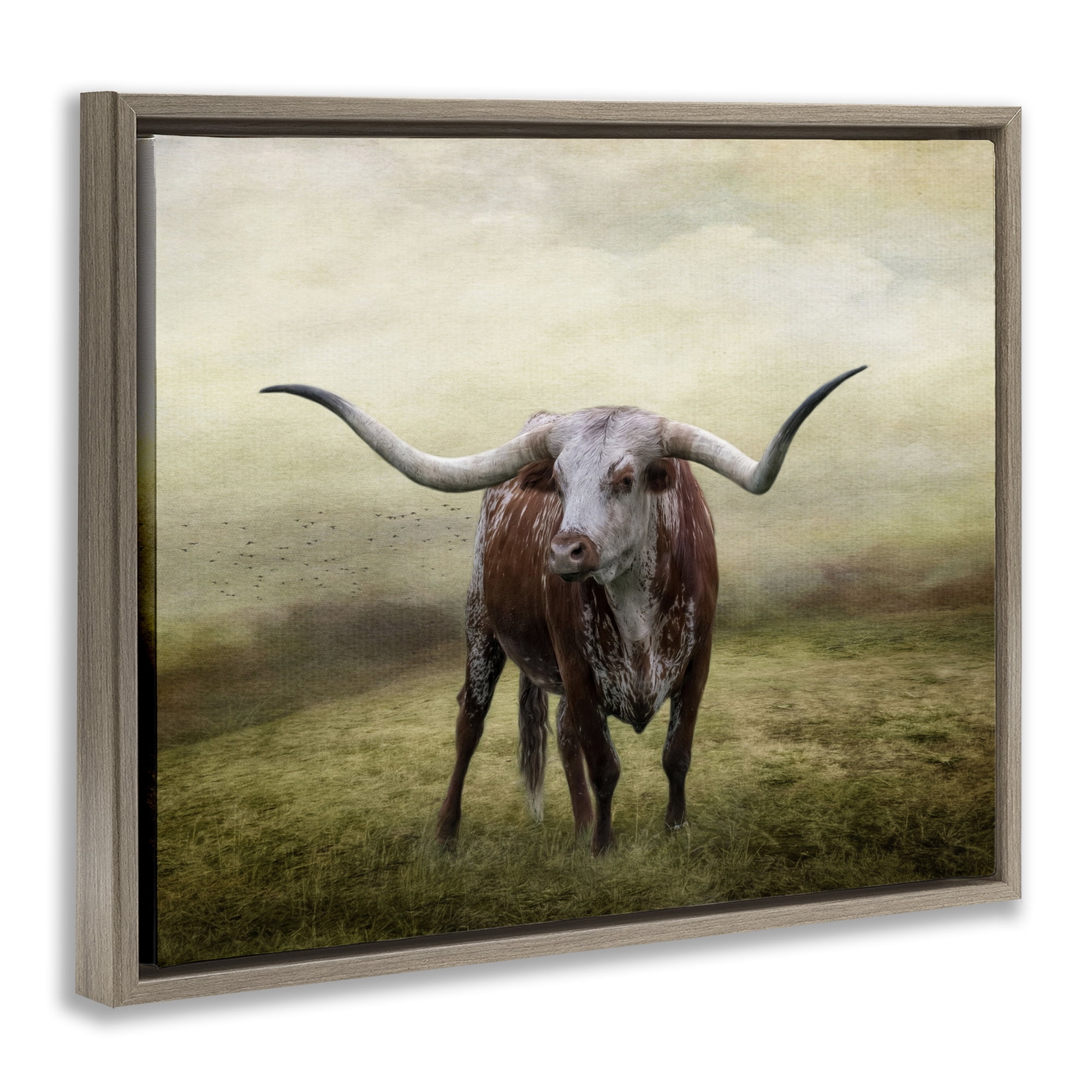 Stupell Industries Pride Of The Longhorn Animals & Insects Photography Brown Floater Framed Canvas Art Print Wall Art, 31 x 25