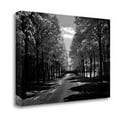 thumbnail image 2 of "Sublime" By Ily Szilagyi, Fine Art Giclee Print on Gallery Wrap Canvas, Ready to Hang, 2 of 2