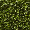 thumbnail image 2 of Nearly Natural 27" Boxwood Artificial Topiary in Black Planter (Indoor/Outdoor), 2 of 5