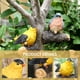 thumbnail image 3 of Casa colgante para pájaros, jaula estilo abeja para pájaros, casa para pájaros al aire libre, adorno de nido colgante, 3 of 8