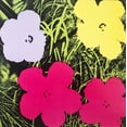 thumbnail image 2 of Andy Warhol "Flowers" (Purple, Yellow, Pink) CUSTOM FRAMED Pop Art Litho Generic, 2 of 4