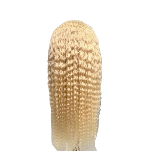 Curly Human Hair Wig 220% Density Blonde Water Wave 13x6 Frontal Wig Hd Lace for Women