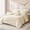 Ivory / Gold, variant on Modern Glam Bedding Set, Chic Decorative Bed Set