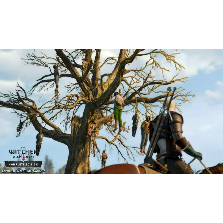 The Witcher 3 Wild Hunt Complete Edition Nintendo Switch