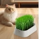 thumbnail image 4 of Bandeja de doble capa para macetas de césped,contenedor sin tierra,cultivador de pasto de trigo,jardinería doméstica,suministros para mascotas,vivero, 4 of 7