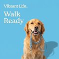 thumbnail image 4 of Vibrant Life 6' Fashion Leash, Green Polka Dot, L, 4 of 10