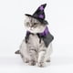 thumbnail image 4 of Disfraz de mascota de Halloween Sombrero de Trajes Capa Cosplay Vestir Cabo para perros pequeños medianos Gatos Festival de mascotas L Colco disfraz de Halloween, 4 of 6