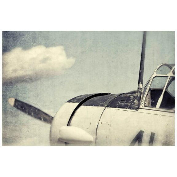 "Altitude 9" Painting Print on Wrapped Canvas