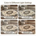 thumbnail image 7 of ODIKA 4'x6' Ultra-Soft Area Rug, Hallway Boho Vintage Distressed Frame Ornate Border Faded Southwestern None Washable, Bare feet friendly, Silk-Touch for Bedroom Home office, 7 of 7