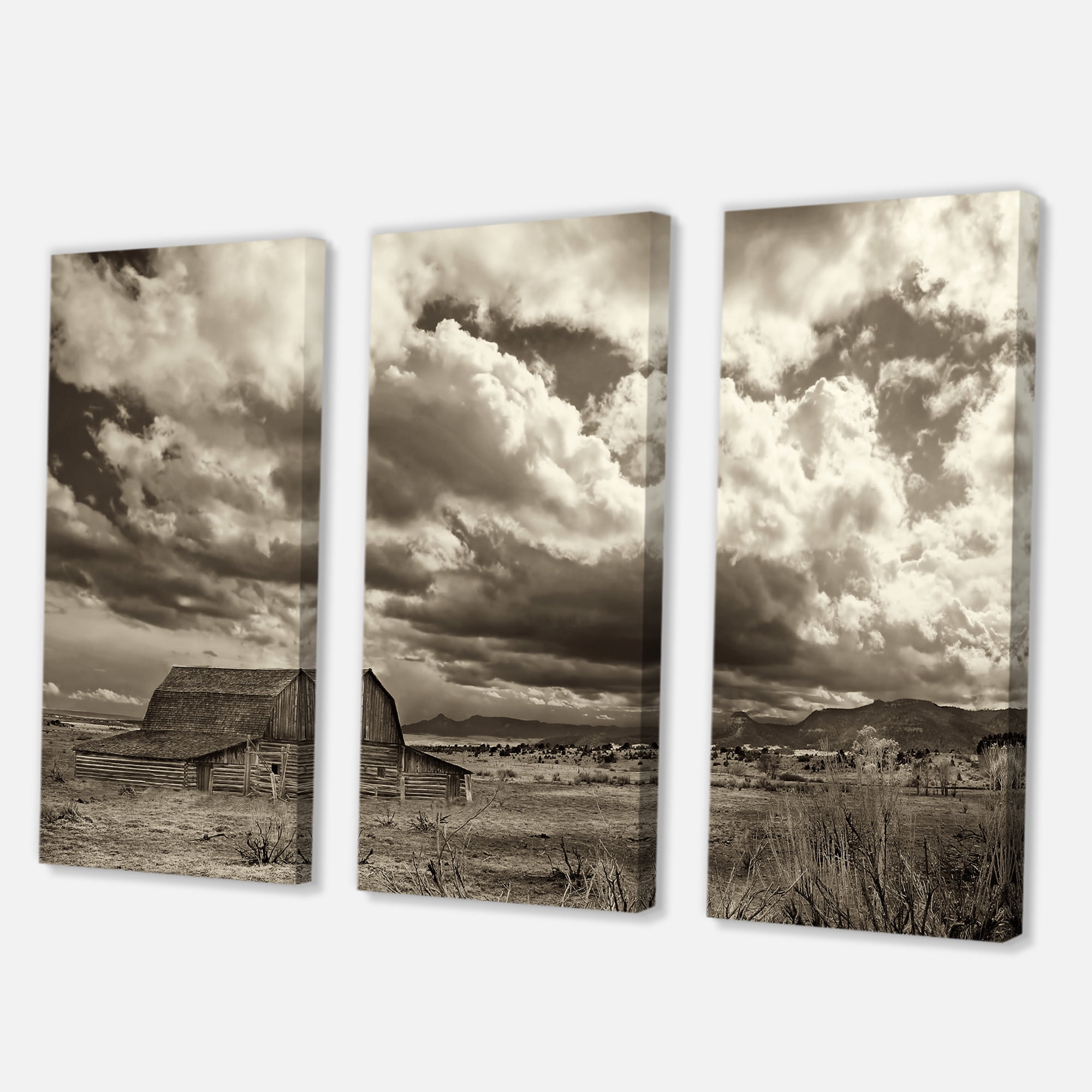 Designart ' Clouds After The Rain On The Prairie ' Traditional Canvas Wall Art Print