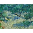 thumbnail image 2 of Van Gogh, Vincent 24x19 White Modern Wood Framed Museum Art Print Titled - Olive Orchard, 2 of 4