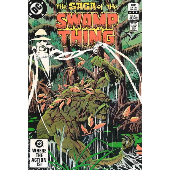 Saga of the Swamp Thing, The #14 VF ; DC Comic Book