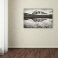 thumbnail image 3 of Trademark Fine Art 'Waterfowl Lake I BW with Color' Canvas Art by Alan Majchrowicz, 3 of 3