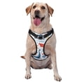 thumbnail image 1 of Fotbe Watercolor Nautical Arnés para Perro con Estampado –Chaleco Ajustable Acolchado con Asa de Control para Perros Grandes-X-Large, 1 of 6