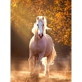thumbnail image 2 of PHBurchett   12x14 White Modern Wood Framed Museum Art Print Titled - Horse Motion VIII, 2 of 4