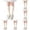 Beige 6PCS, variant on 6 Pairs Toddler Socks Girls Knee High Socks Cotton Seamless Toe School Uniform Socks For Kids Soft Comfortable Everyday Wear