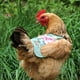 thumbnail image 2 of Delantal de Pollo Gloria Tela de Silla de Montar, 2 of 7