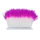 thumbnail image 2 of 1 Feather Feather Cinta De Flecos Para Decoración De / Ropa Accesorios Primavera Cinta Diy Rose Red White BLESIY Plumas de avestruz recorta el flequillo, 2 of 7