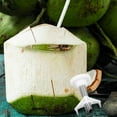 thumbnail image 4 of BESTYASH Herramienta Para Abrir Cocos Con Estructura Fuerte Y Uso Sencillo, 4 of 8