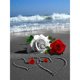 thumbnail image 1 of Cuadros Decorativos 5D DIY Taladro completo Forma redonda Valentine Love Rose Rhinestone Diamante Dibujo JShteea  Nuevos Originales, 1 of 5