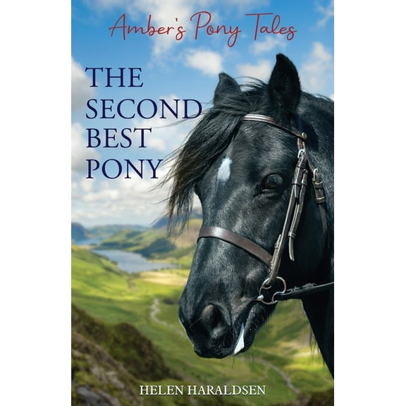Amber's Pony Tales The Second Best Pony, Book 2, (Paperback)
