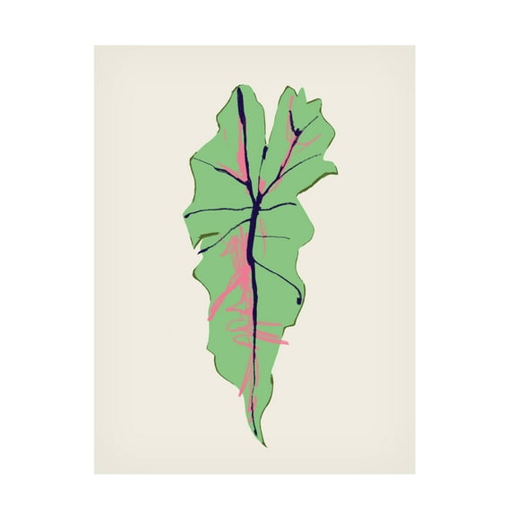 Trademark Fine Art Francesco Gulina Alocasia Polly Canvas Wall Art