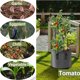 thumbnail image 5 of Bolsa de plantación no tejida, bolsa redonda de fieltro para jardinería, 5 of 6