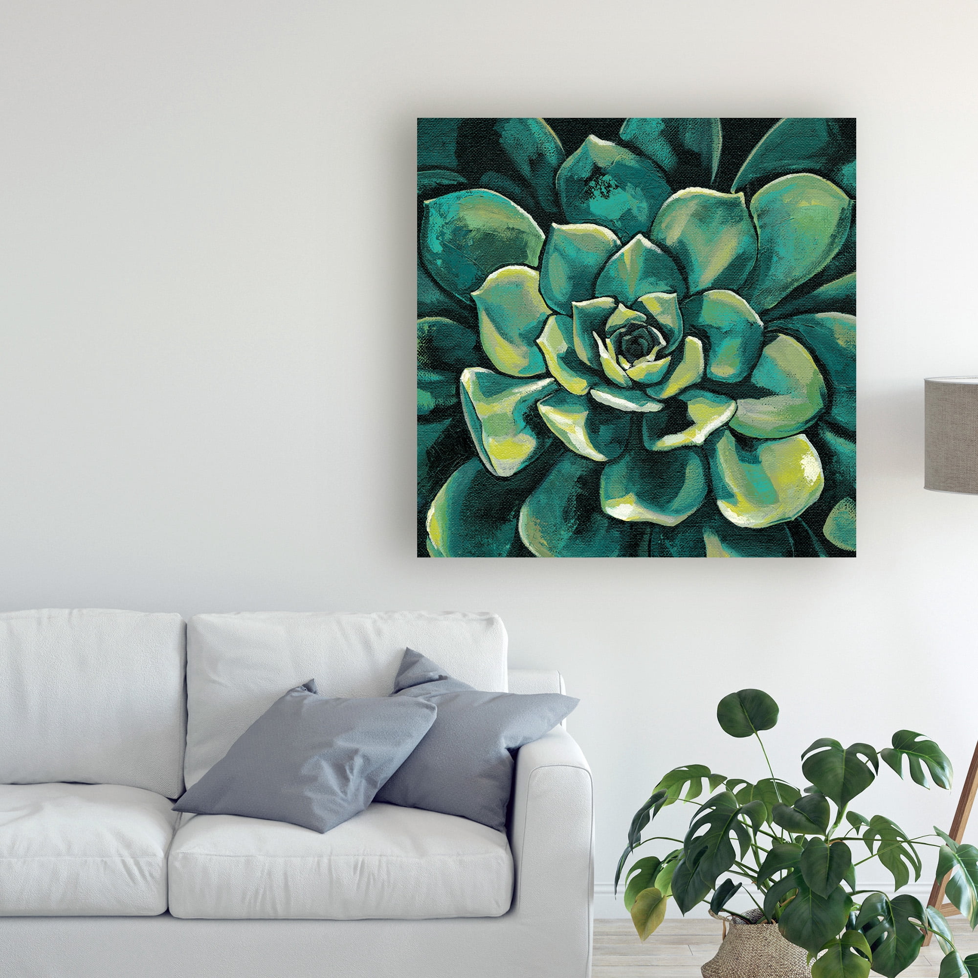 Trademark Fine Art 'Succulent Bloom I' Canvas Art by Megan Meagher