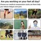 thumbnail image 4 of Compression Socks for Women and Men, 7 Pairs Compression Stockings 15-20 mmHg Support Socks for Athletics, Varicose Veins, Running, Cycling L/, 4 of 5
