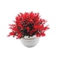 thumbnail image 1 of Planta falsa en maceta, accesorios para fotos, decoración de bonsái artificial, pequeñas plantas falsas para el hogar Rojo, 1 of 9