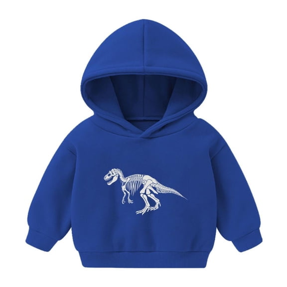 Bnwani Hoodies Girls Cotton Long Sleeve Short Fall Sweatshirt Cute Graphic Printed Pullover 1-8 Years