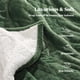 thumbnail image 3 of Manta eléctrica Zorvixia, tamaño doble, diseño de trigo, color verde, 3 of 8