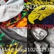 thumbnail image 4 of 2022 New Fashion Jamaican Flag 3d T Shirt Men/Women Casual Round Neck Short Sleeve Sports T-shirt, 4 of 4