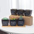 thumbnail image 3 of EIMELI EIMELI Succulent Flower Pots Automatic Water Absorption Flowerpot with Tray Plant Tool, 3 of 10