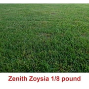Zenith Zoysia Grass seeds 1/8 of a pound (2 ounces )
