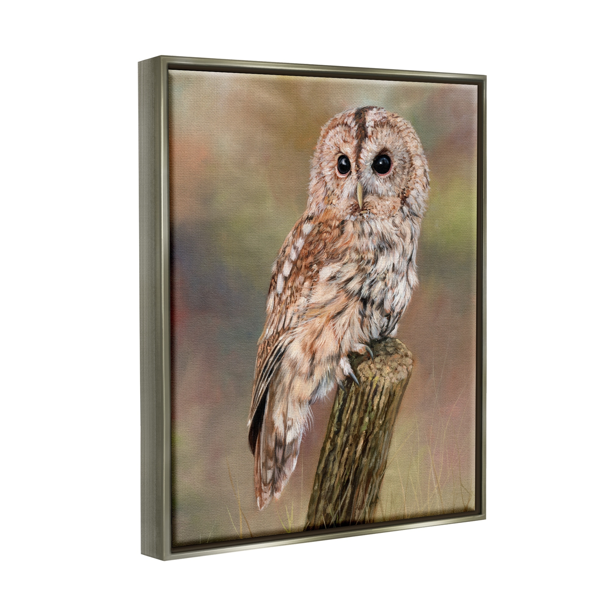Stupell Industries Brown Tawny Owl Perched Intricate Woodland Wildlife Painting Painting Luster Gray Floating Framed Canvas Print Wall Art, Design by David Stribbling