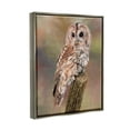 thumbnail image 3 of Stupell Industries Brown Tawny Owl Perched Intricate Woodland Wildlife Painting Painting Luster Gray Floating Framed Canvas Print Wall Art, Design by David Stribbling, 3 of 5
