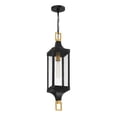 thumbnail image 5 of Glendale 1-Light Outdoor Hanging Lantern in Matte Black and Weathered Brushed Brass, 5 of 5