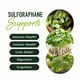 thumbnail image 2 of Suplemento SMNutrition de sulforafano de 50 mg de brotes de brócoli, 2 of 9