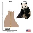 thumbnail image 3 of Advanced Graphics 1485 Giant Panda - 57" x 49" Cardboard Standup, 3 of 3