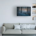 thumbnail image 2 of Canvas Wall Art - Ina Bouhuijzen 'Look Deep Into Nature' Wall Art for Living Room, Bedroom, or Office Décor by Trademark Fine Art - 47 x 30 Inches, 2 of 4
