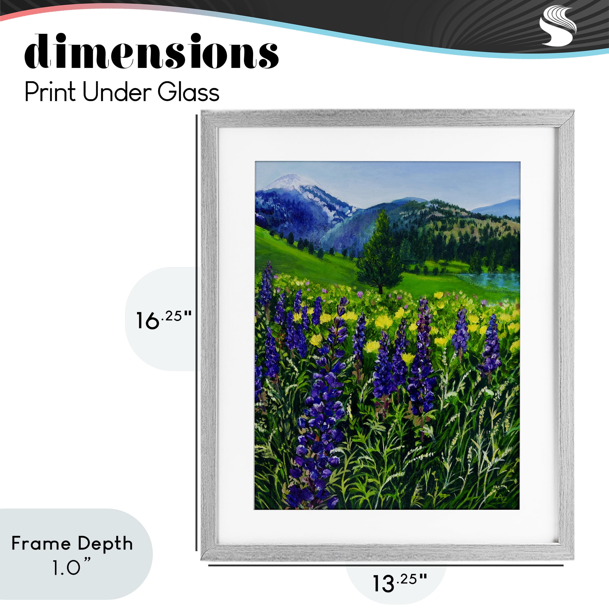 Stupell Industries Flower Speckled Valley Gray Framed Print Under Glass, design by Lee Ann Zirbes