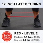 THERABAND Resistance Tubes, Padded Cuffs, Looped, 12 in, Red, Medium Thickness, 3.7 lbs Resistance, Level 3