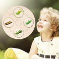 thumbnail image 3 of Ayudas para Enseñanza de Vida de Madera, Juguete Natural Educativo Temprano para Regalos Presentes, Niños Pequeños, Niños Y Niñas , Grillo CUTICAT Tablero de ciclo de vida, 3 of 8
