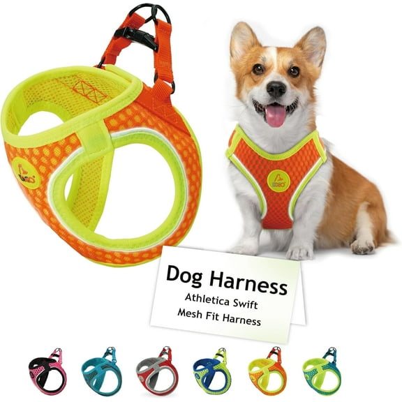 DOCO Dog Harness (Chest 13.5"-14", Weight 4–6 lbs) Athletica Adjustable Heavy Duty No Choke Puppy Vest for Small Dogs Lightweight Air Mesh, Reflective, Puppy Essentials – Orange, X-Small