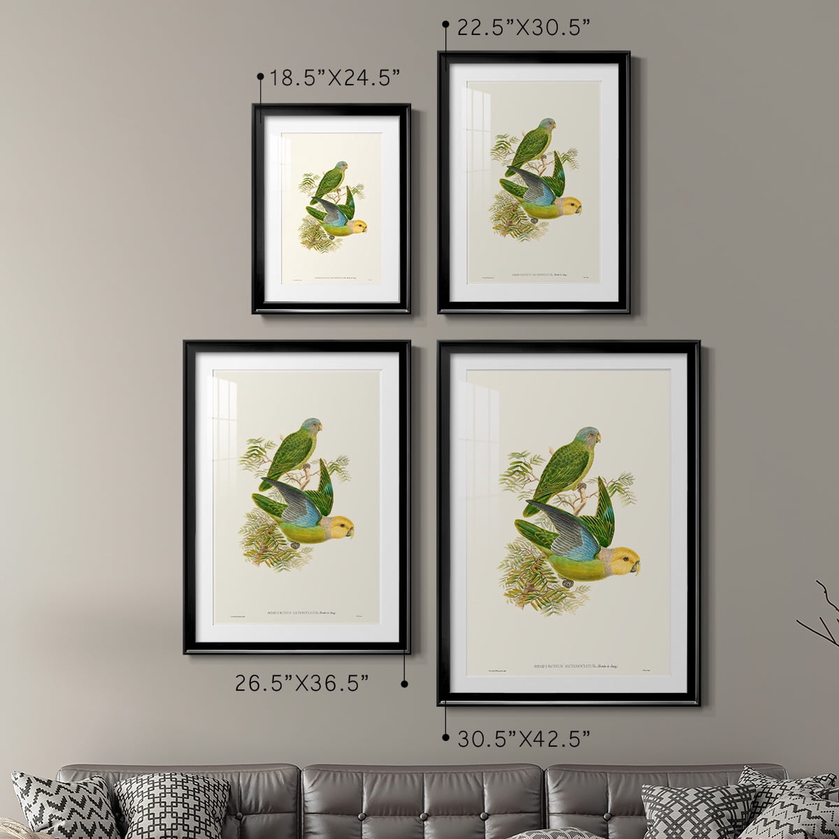 Wexford Home Lime & Cerulean Parrots I Premium Framed Print, 30.5" x 42.5" - Ready to Hang, Black (Set of 2)