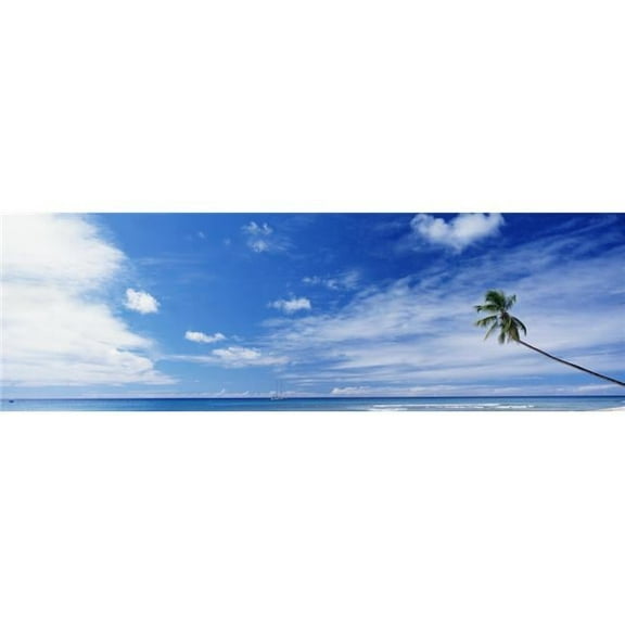 Palm Tree On Beach Poster Print, 44 x 14 - Large