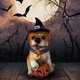 thumbnail image 1 of Decoraciones de mesa con forma de perro calabaza para Halloween, decoraciones navideñas, 1 of 5