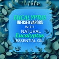 thumbnail image 4 of (3 pack) Equate Soothing Vapor Shower Tablets, Eucalyptus & Menthol, 3 Count, Compare to Vicks® VapoShower™, 4 of 10