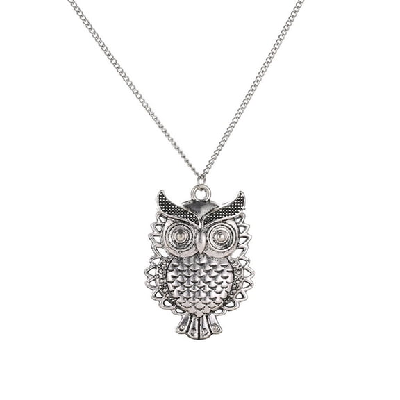 Owl Pendant Necklace, 25 inch Fashion Jewelry, Stainless Steel Necklace